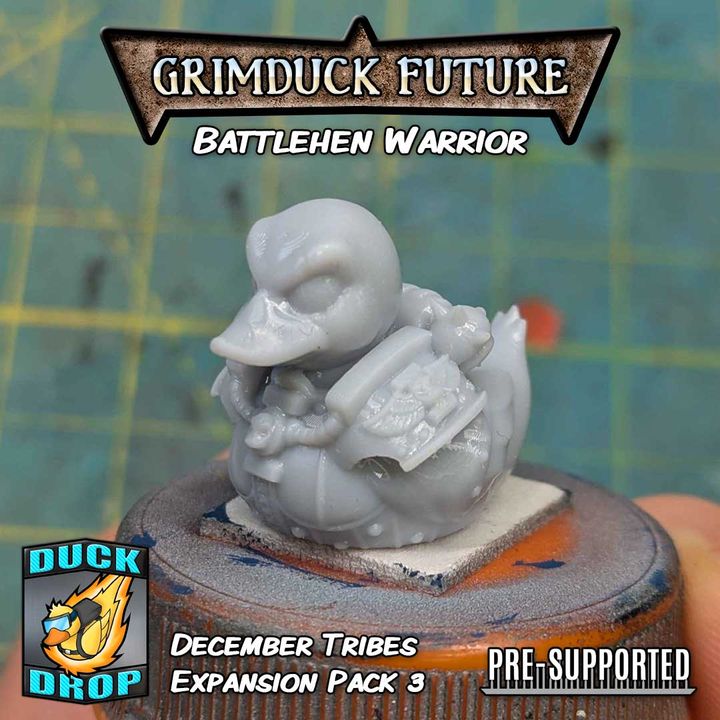 Battlehen Warrior - Rubber Duck - Sisters of Battle Proxy