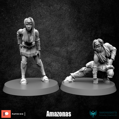 Greek Amazon Wonderful Women Fantasy Football Team by Rako Vendetta Miniatures for Tabletop Games, Dioramas and Statues