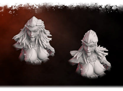 Sadist Space Queen of Blades Multiple Head Sculpts (large monster) by 3D Printing Samurai for Tabletop Games, Dioramas and Statues, Just over 50mm to to eye level